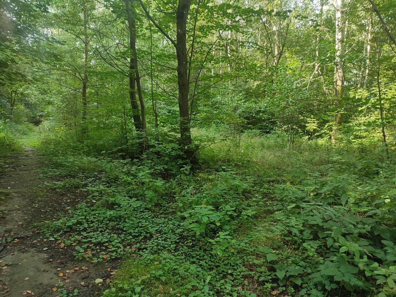 Pozemek pro bydlení, 406 m²