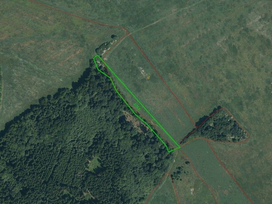Louka · Ctiboř, okres Tachov, Plzeňský kraj - 4