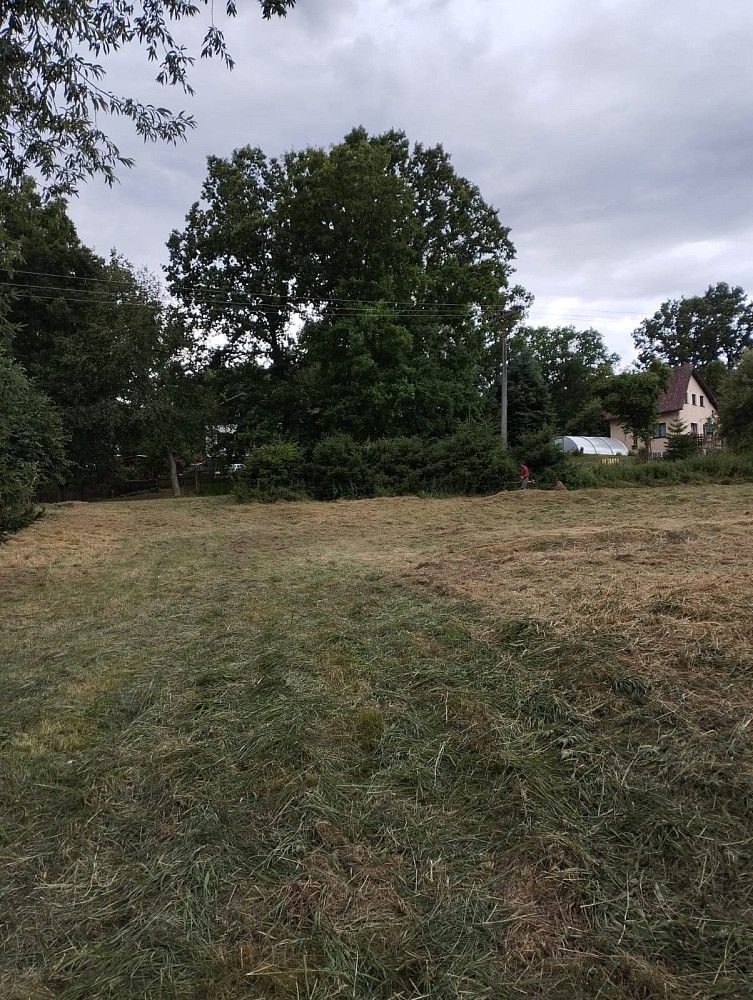 Louky, Líšťany - Košetice, okres Plzeň-sever, Plzeňský kraj - 1