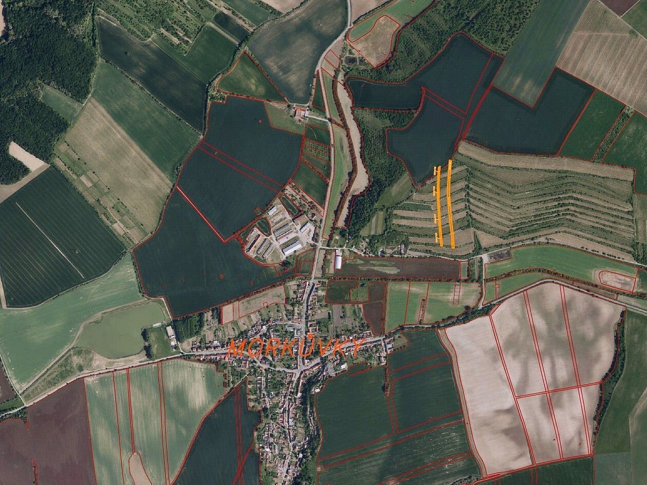 Prodej zemědělský pozemek - Morkůvky, okres Břeclav, Jihomoravský kraj - 5