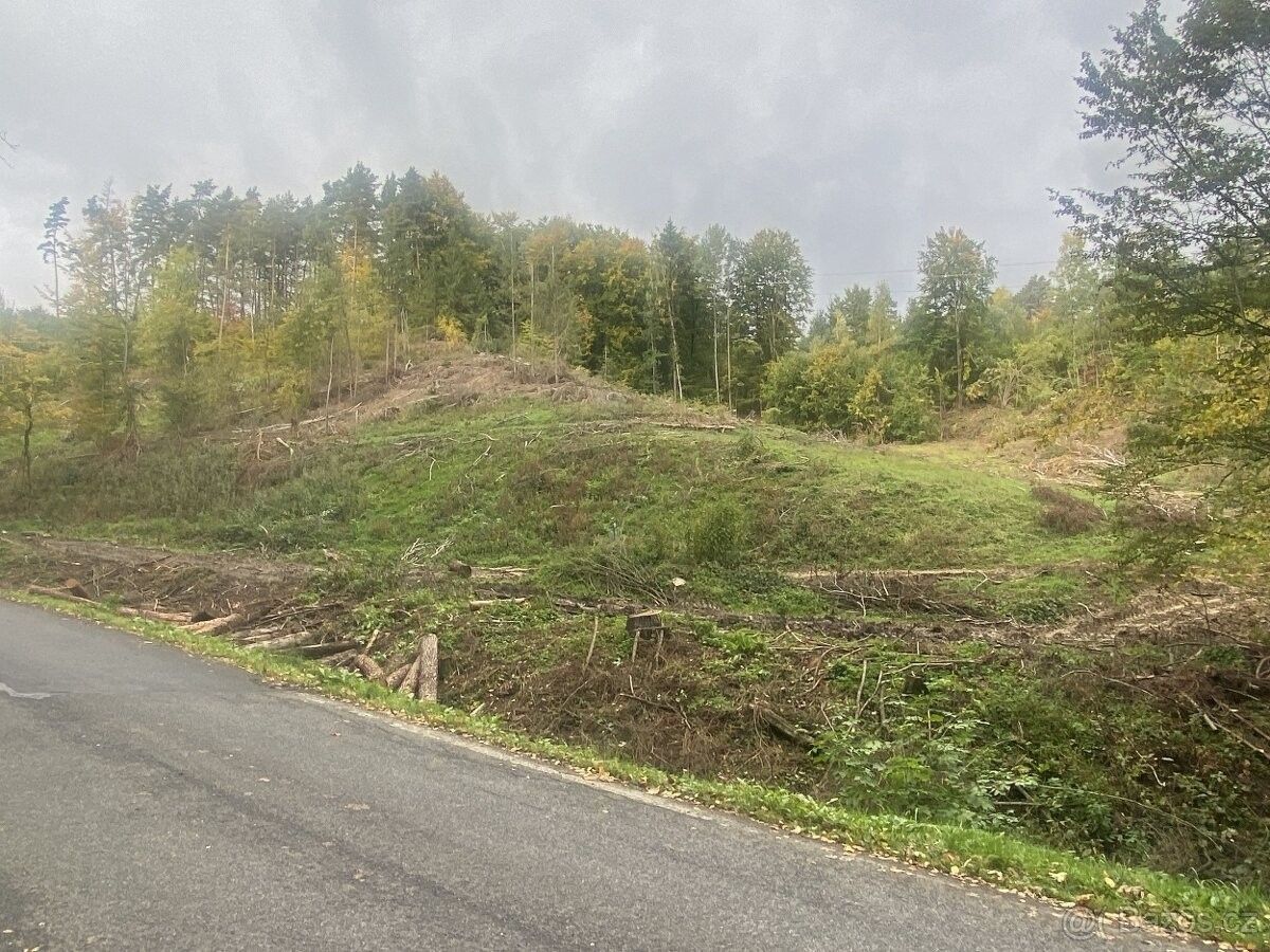 Prodej pozemek pro bydlení - Český Dub, 463 43