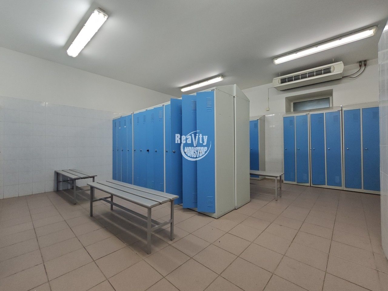 Pronájem komerční - Hodice, 6 700 m² - 5