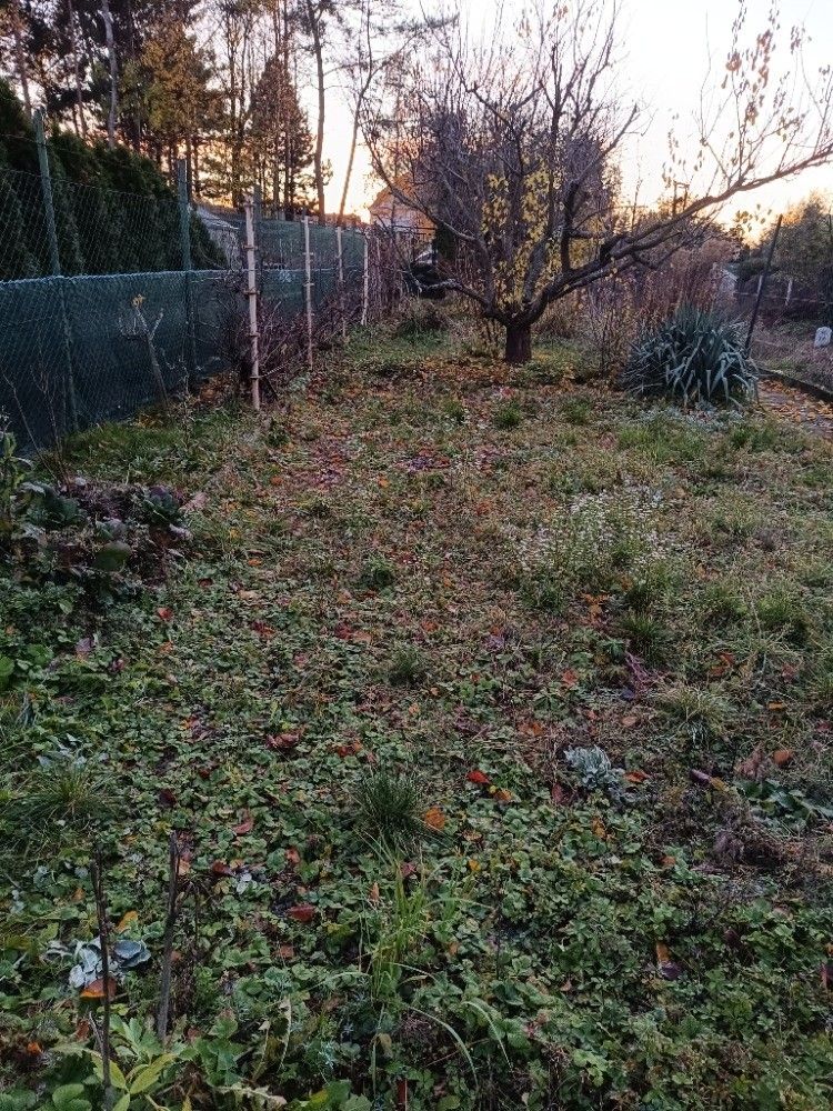 Zahrady, Praha, 155 00