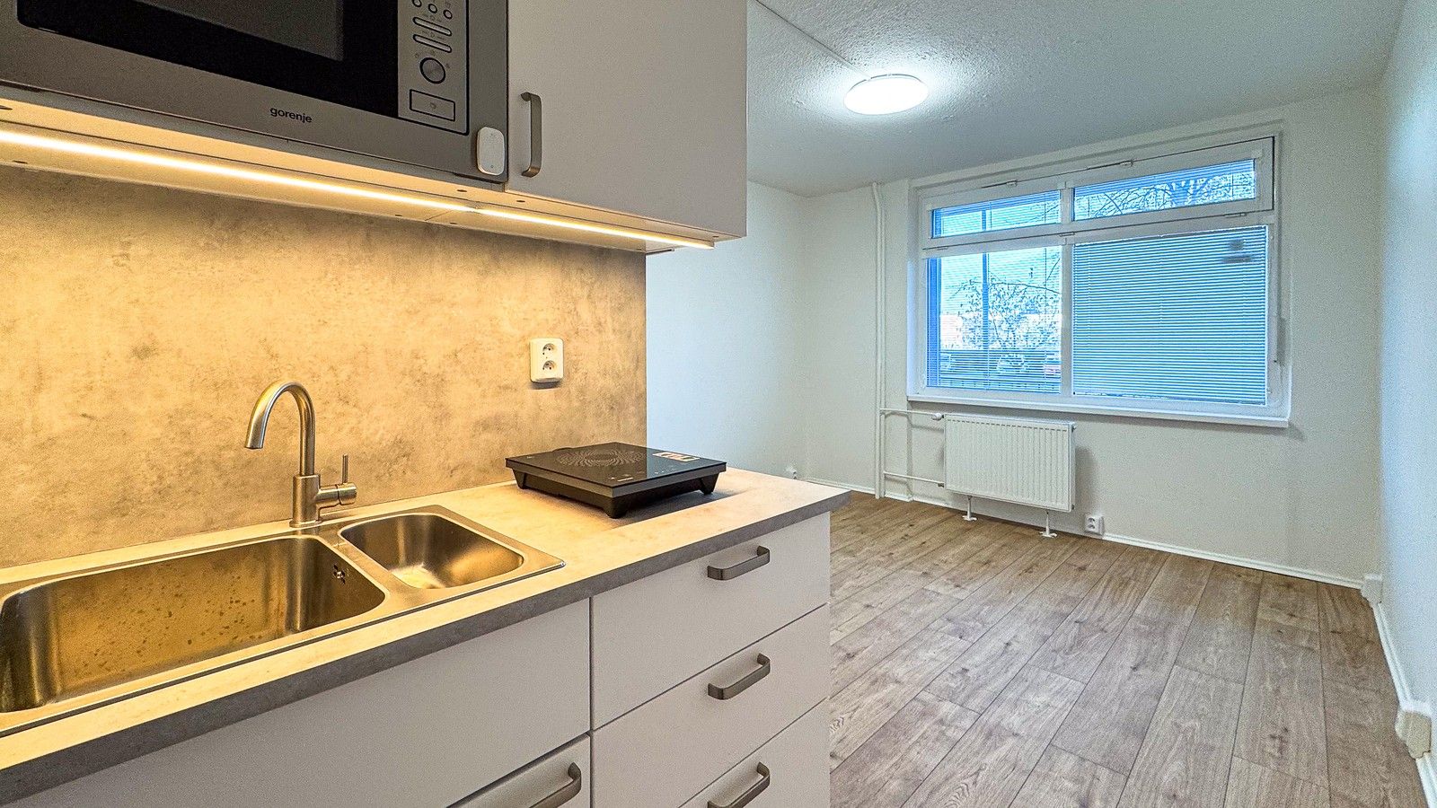 1+kk, Frostova, Praha, 17 m²