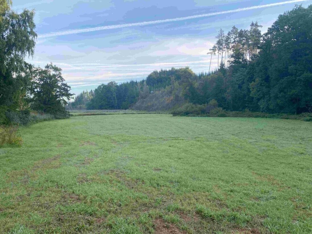 Zemědělský pozemek · 9 377 m² · Polná - 4