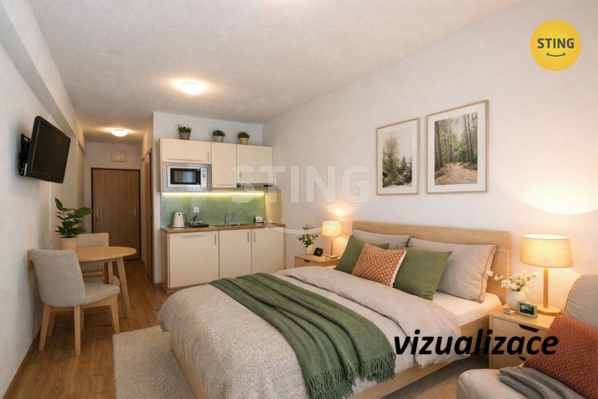 1+kk, Všemina, 24 m²