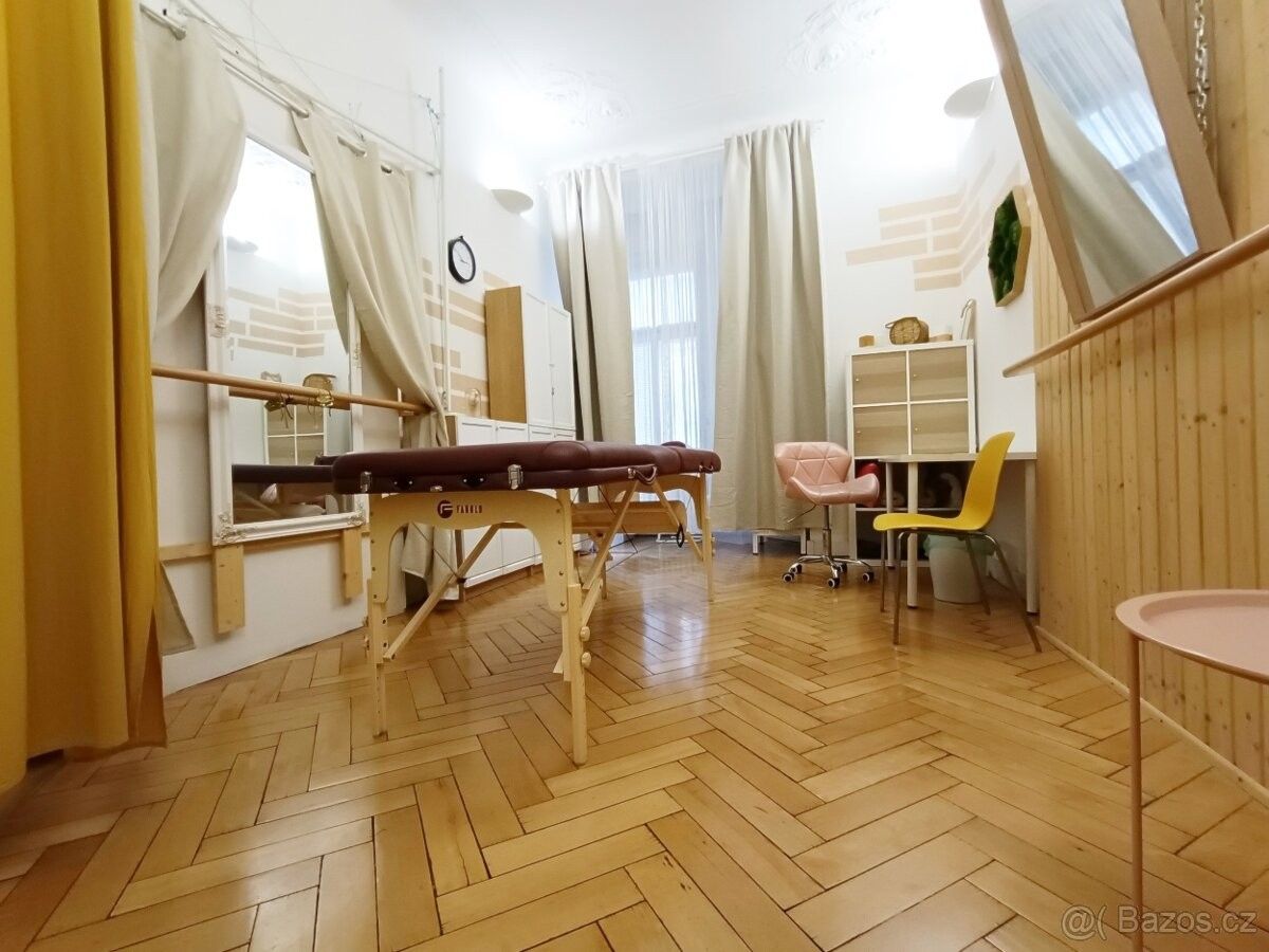 Obchodní prostory, Praha, 120 00