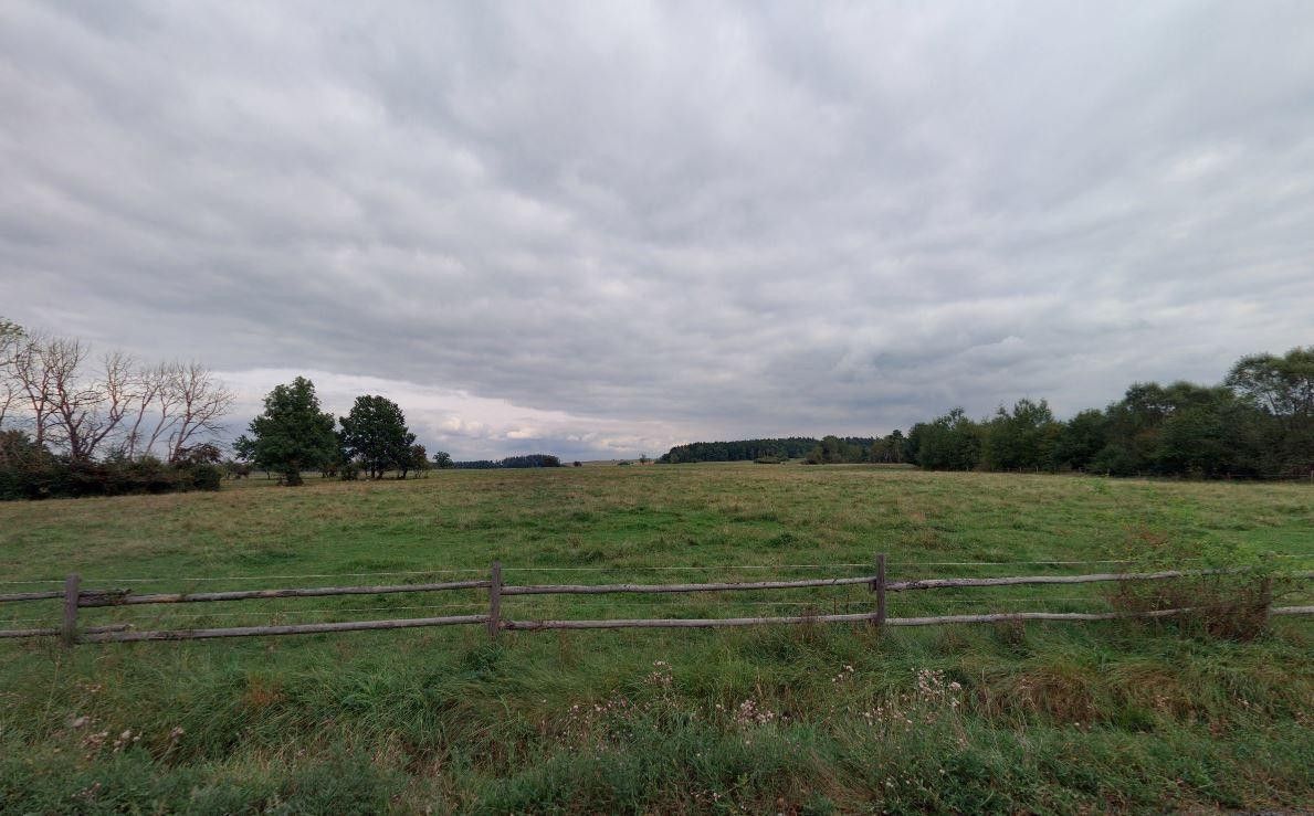 Zemědělské pozemky, Struhaře, Spálené Poříčí, 12 536 m² - 2