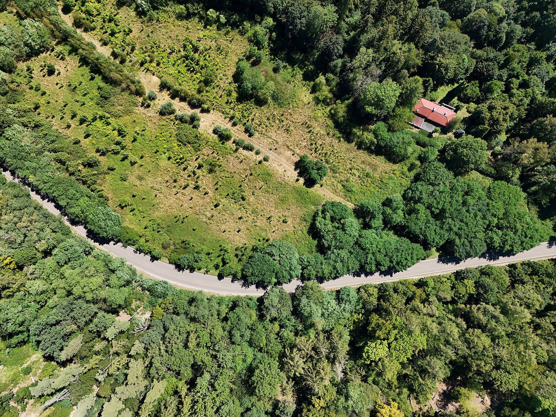 Pozemek pro bydlení · 34 100 m² · Sázava - 4