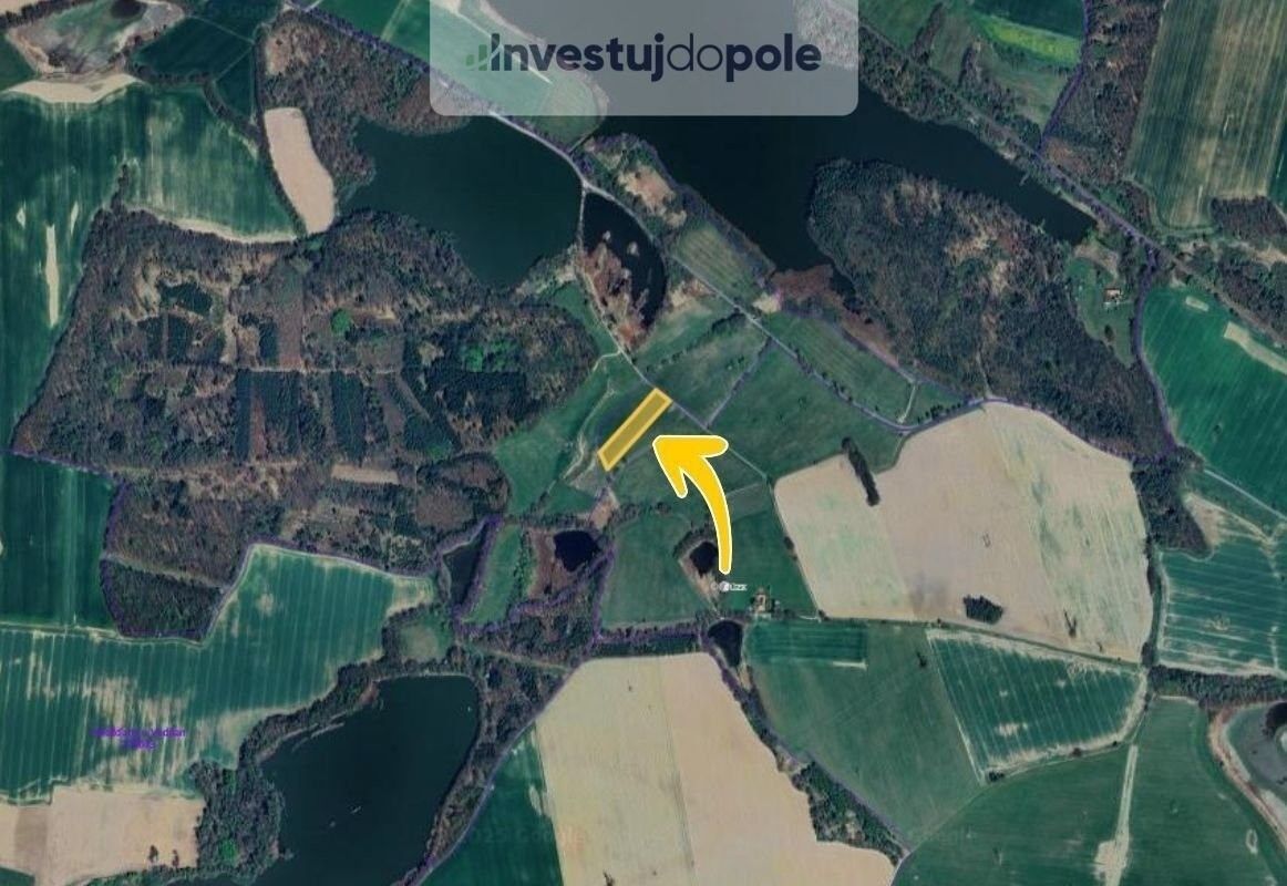 Louky, Dříteň - 2