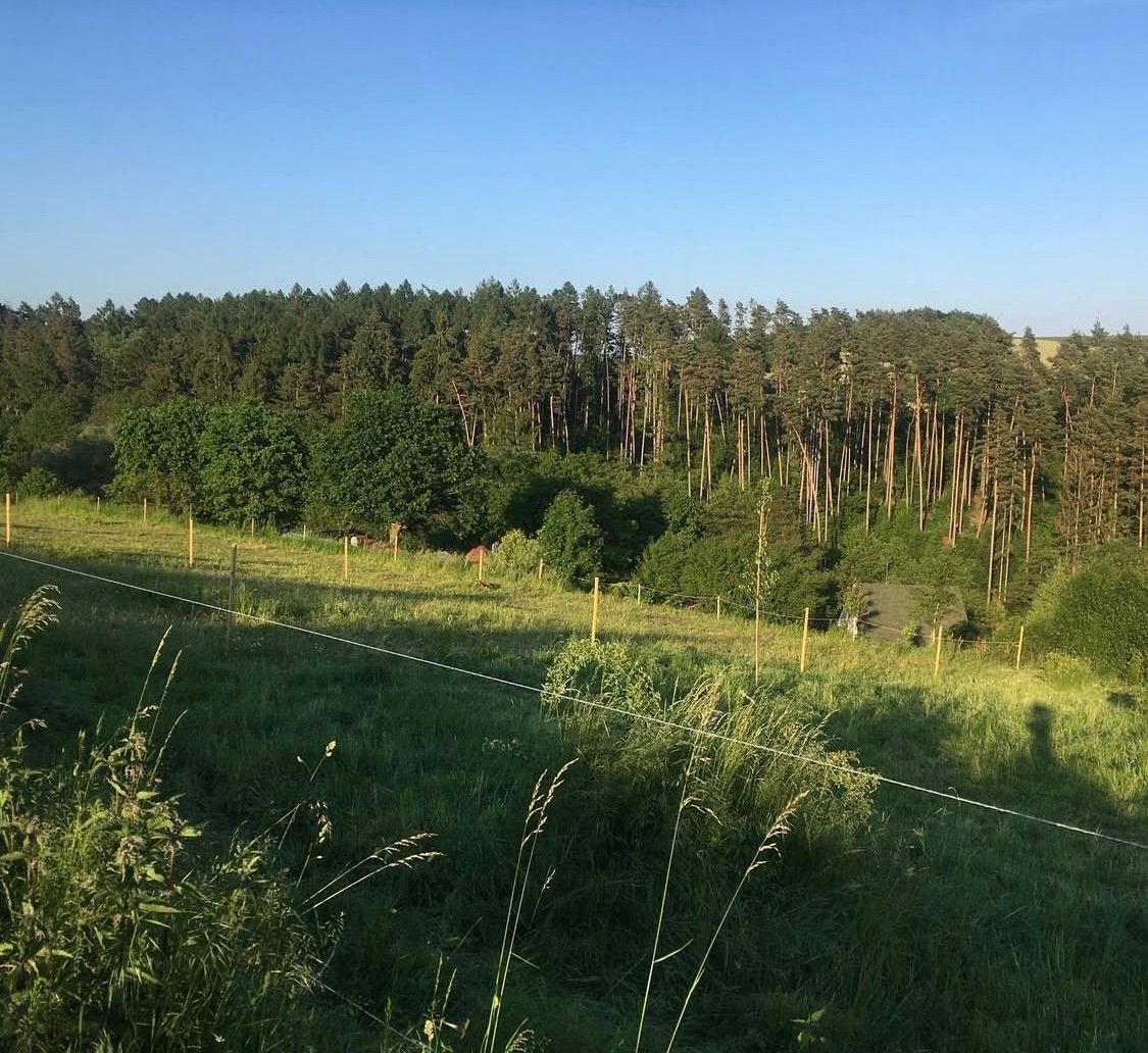 Prodej pozemek pro bydlení - Olomouc, 779 00