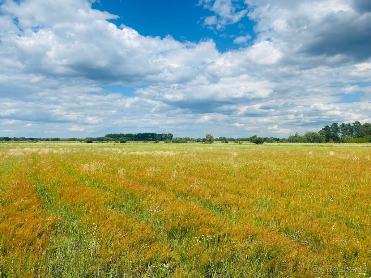 Pozemek pro bydlení · Břeclav, 690 02 - 3