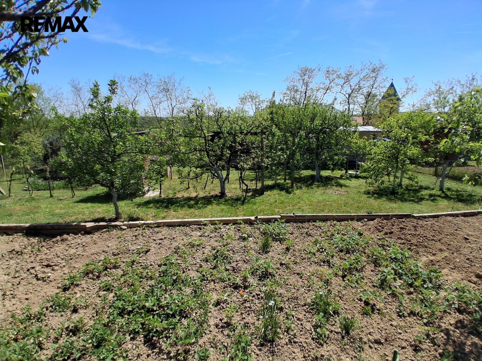 Zahrada · 579 m² · Dyje - 4