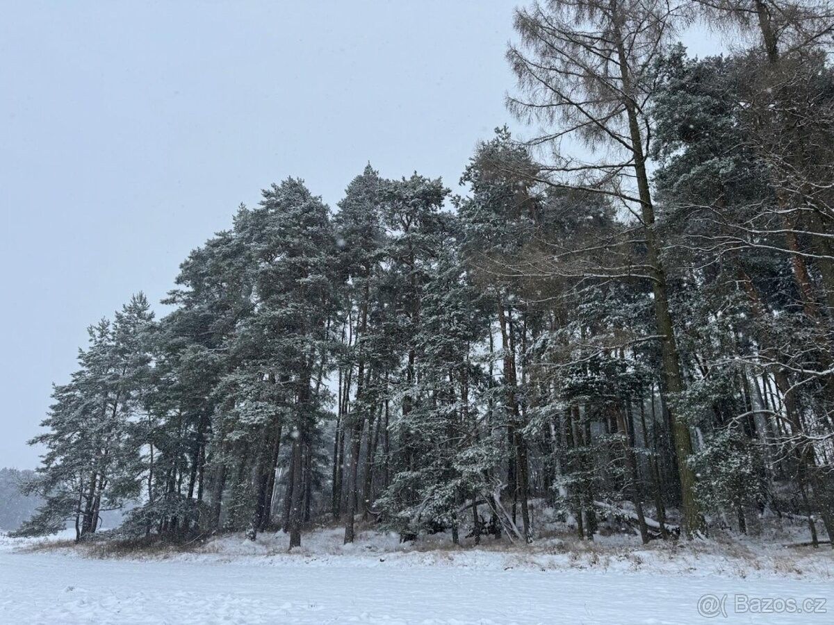 Prodej pozemek pro bydlení - Horažďovice, 341 01
