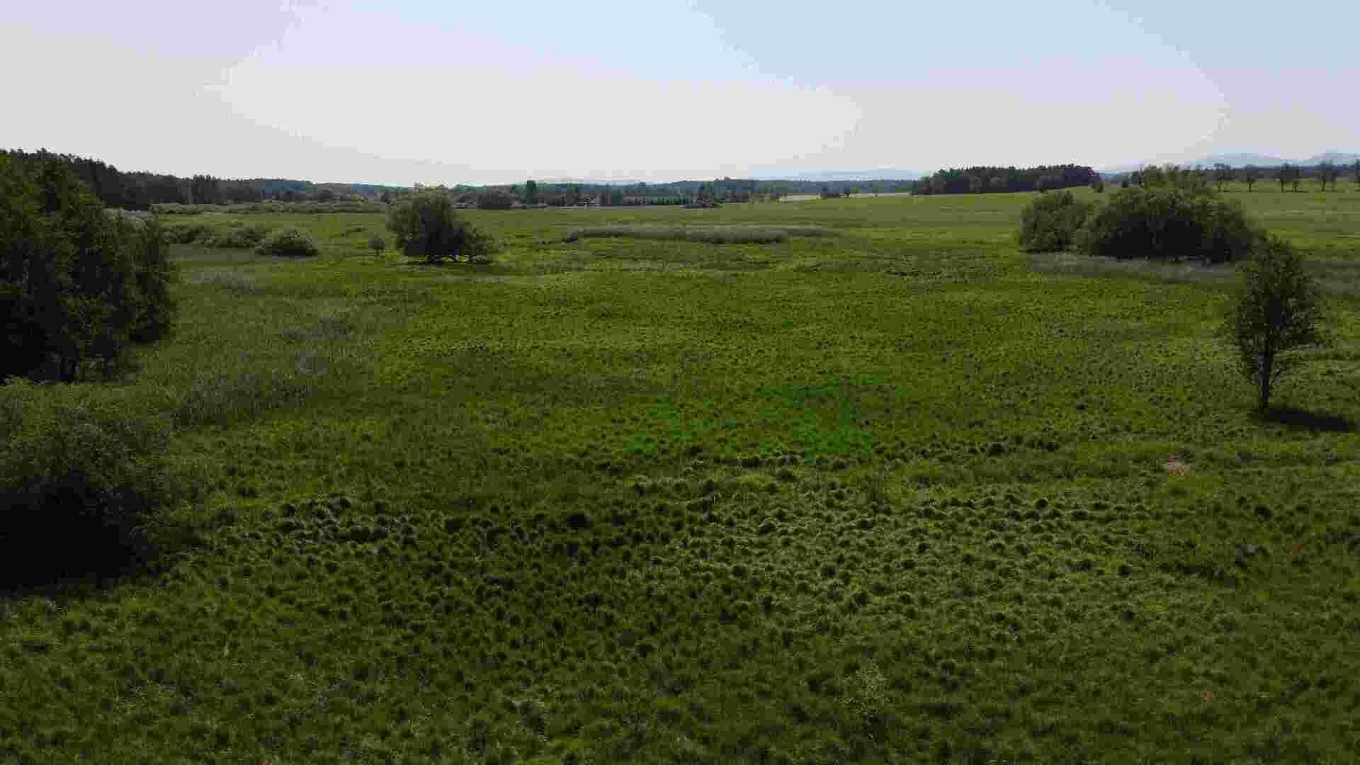 Pozemek · 20 535 m² · Jílovice - 4