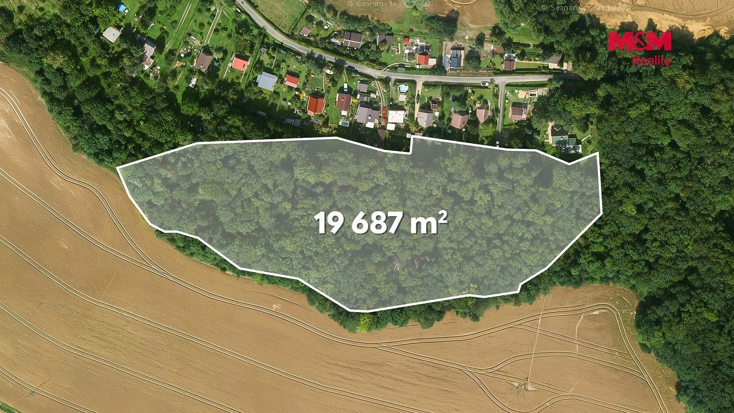 Les · Libochovice - Poplze, okres Litoměřice, Ústecký kraj - 4