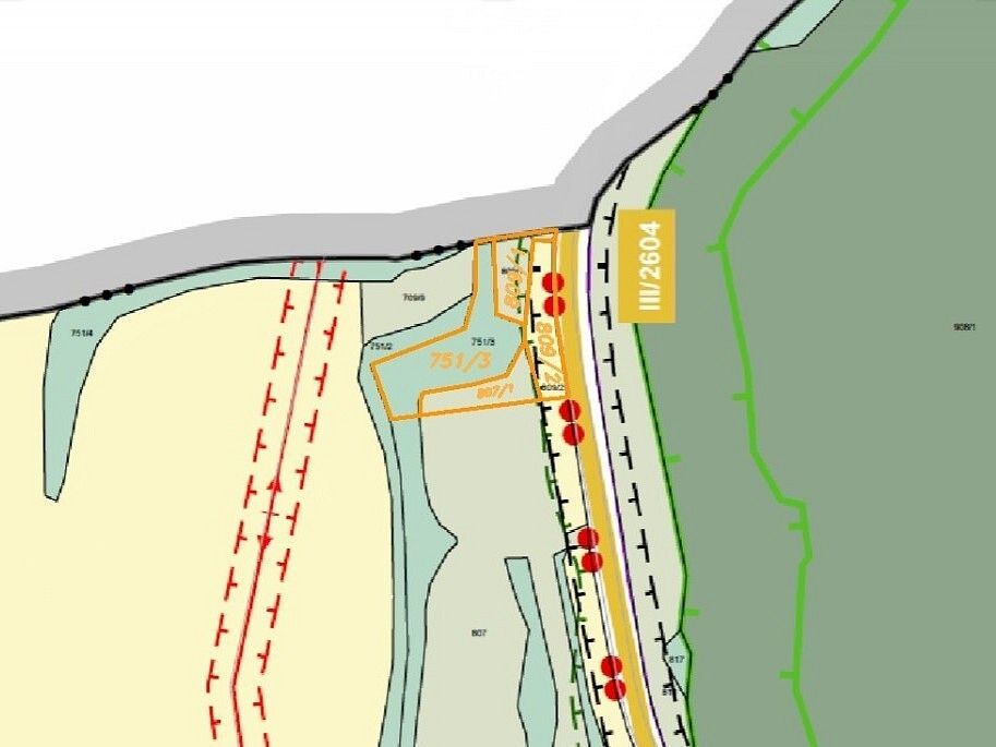 Prodej louka - Tuhaň, okres Česká Lípa, Liberecký kraj - 5