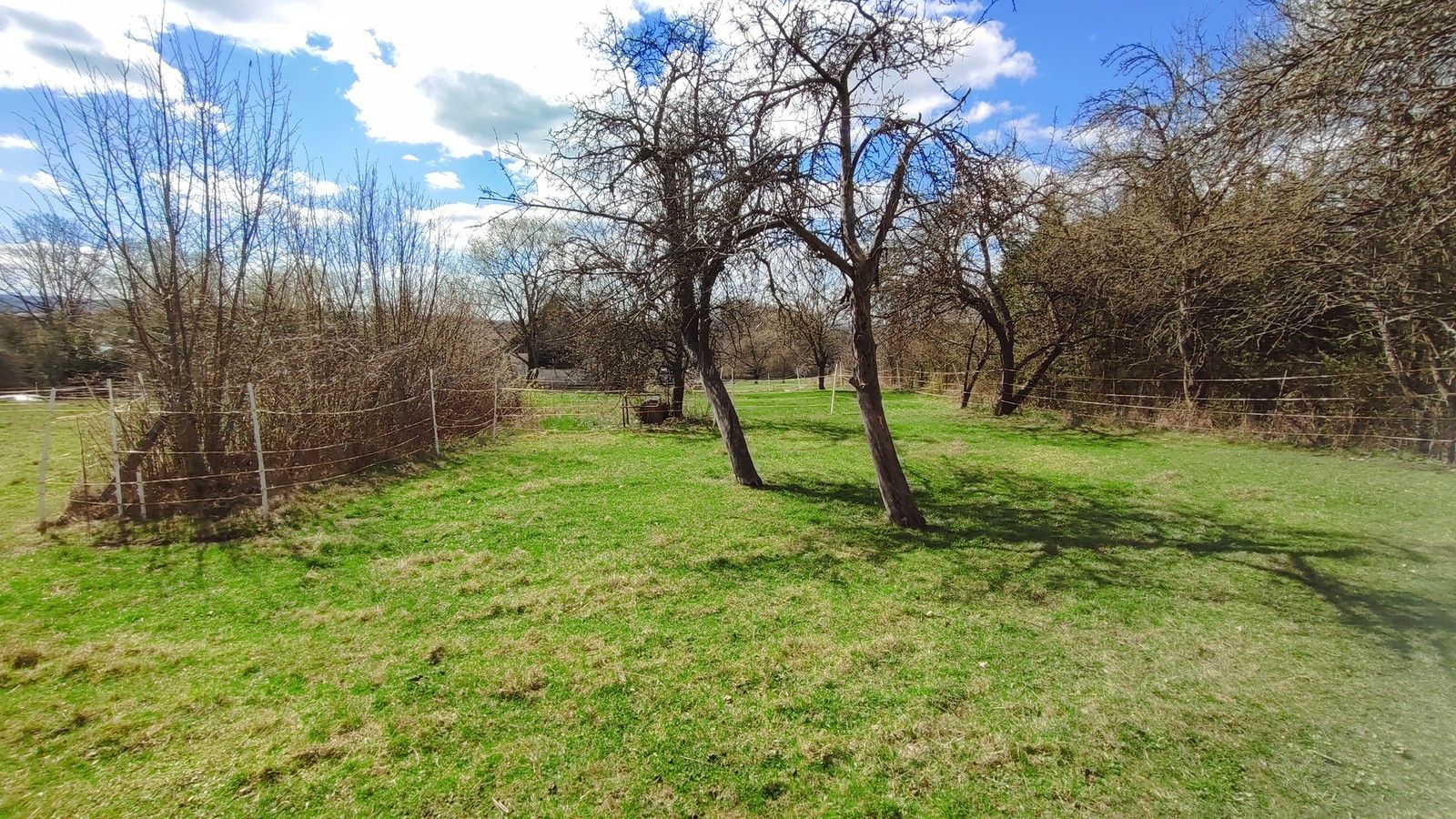 Prodej pozemek pro bydlení - Vísky, 2 605 m² - 5