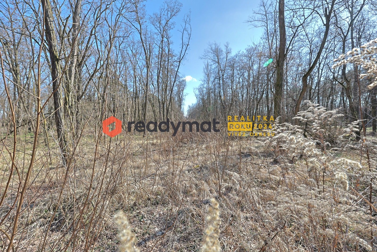 Prodej les - Dubňany, 5 m²