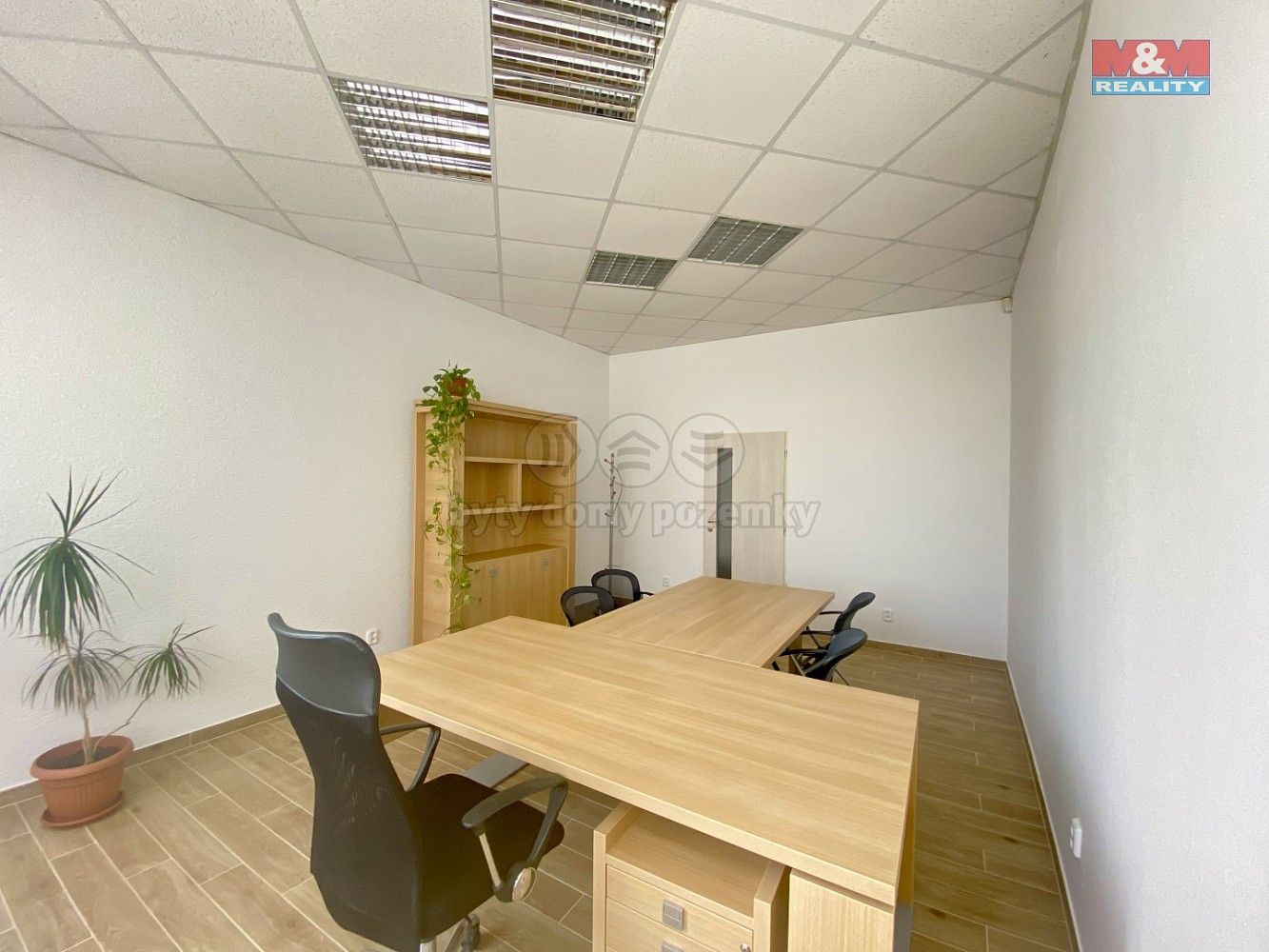 Kanceláře, Hlubčická, Krnov - Pod Bezručovým vrchem, okres Bruntál, 22 m² - 1