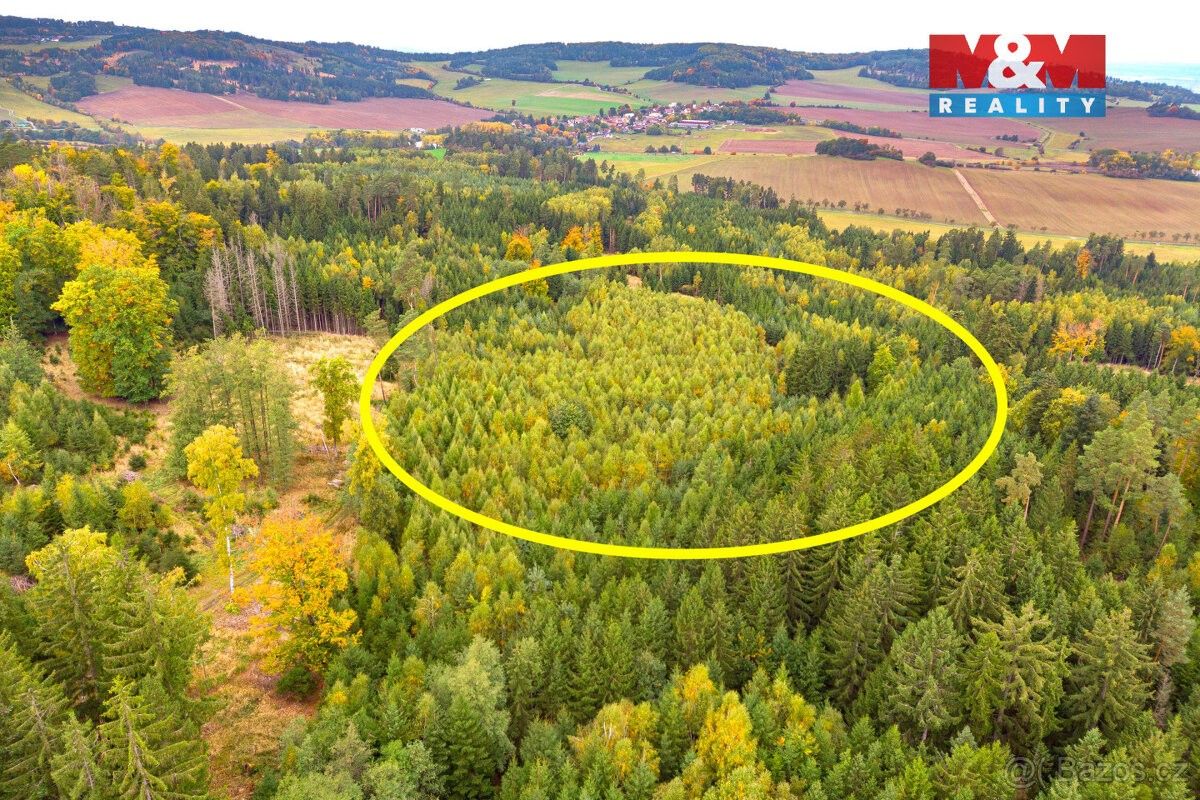 Prodej pozemek pro bydlení - Brnířov, 345 06