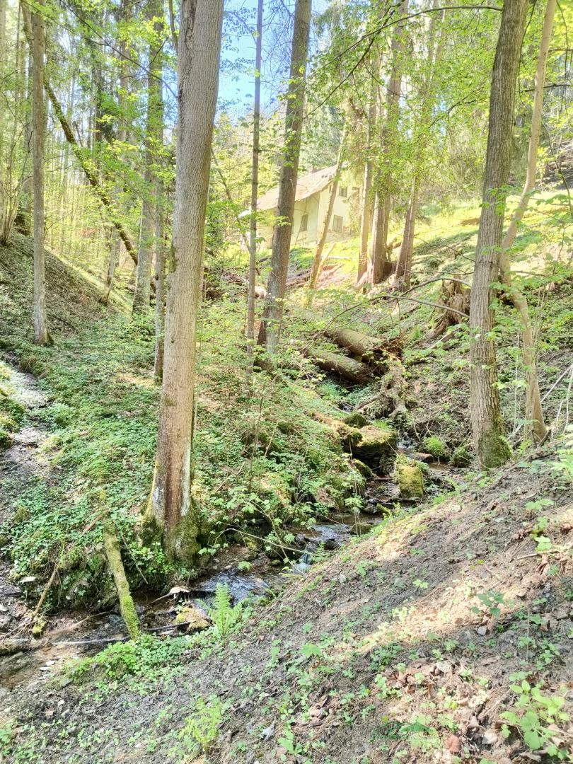 Prodej rodinný dům - Koberovy Chloudov, 110 m² - 5