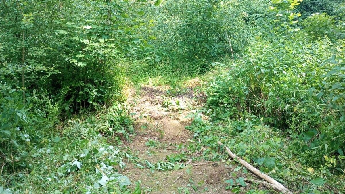 Prodej pozemek pro bydlení - Chotýšany, 257 01