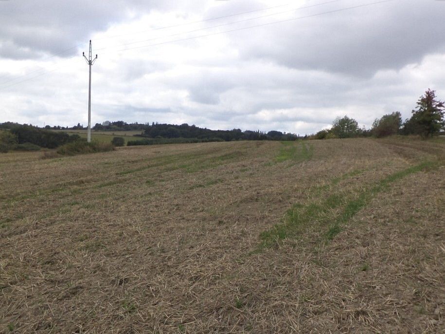 Zemědělský pozemek · Lom u Tachova, okres Tachov, Plzeňský kraj - 4