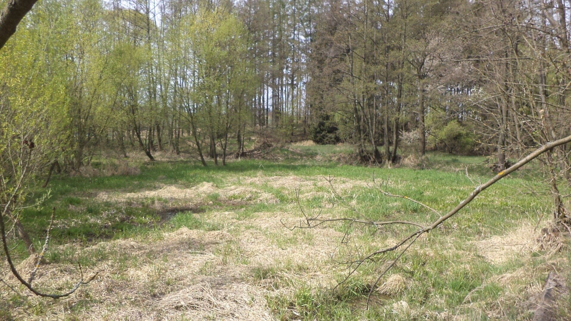 Zemědělský pozemek · 8 388 m² · Mezno Stupčice - 4