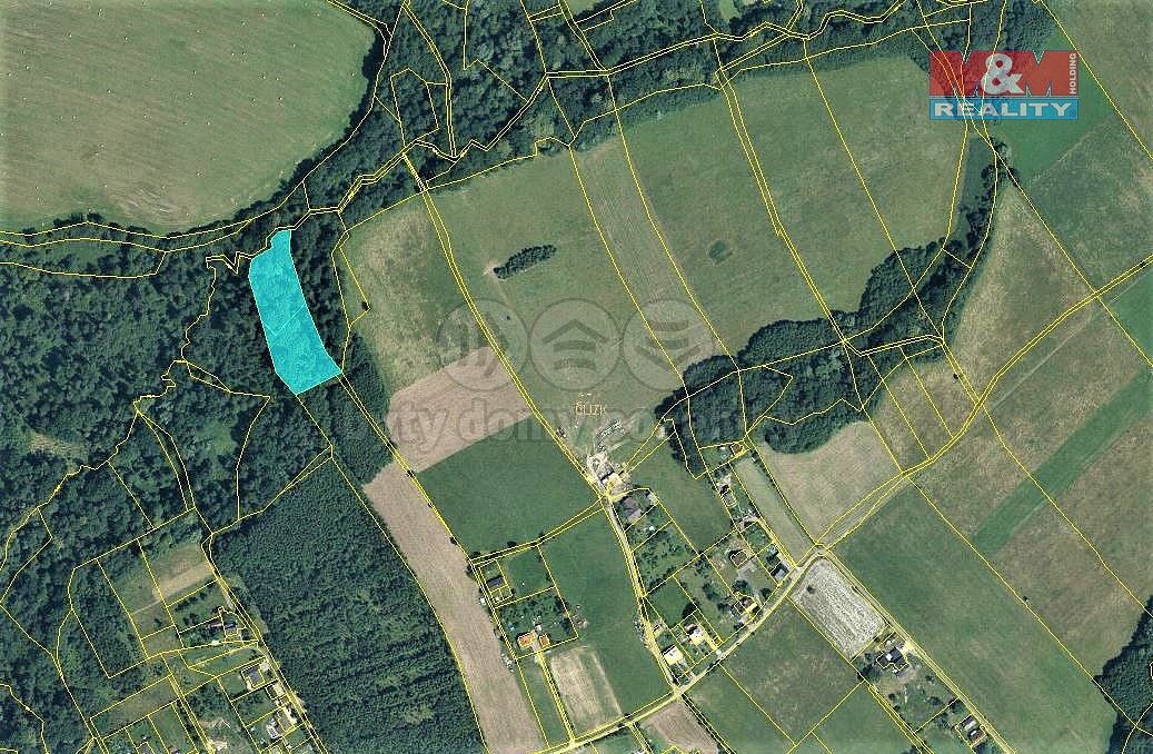 Lesy, Český Těšín, okres Karviná, Moravskoslezský kraj