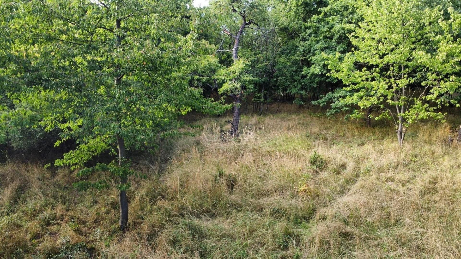 Pozemek · 26 115 m² · Hřešice, Pozdeň - 4
