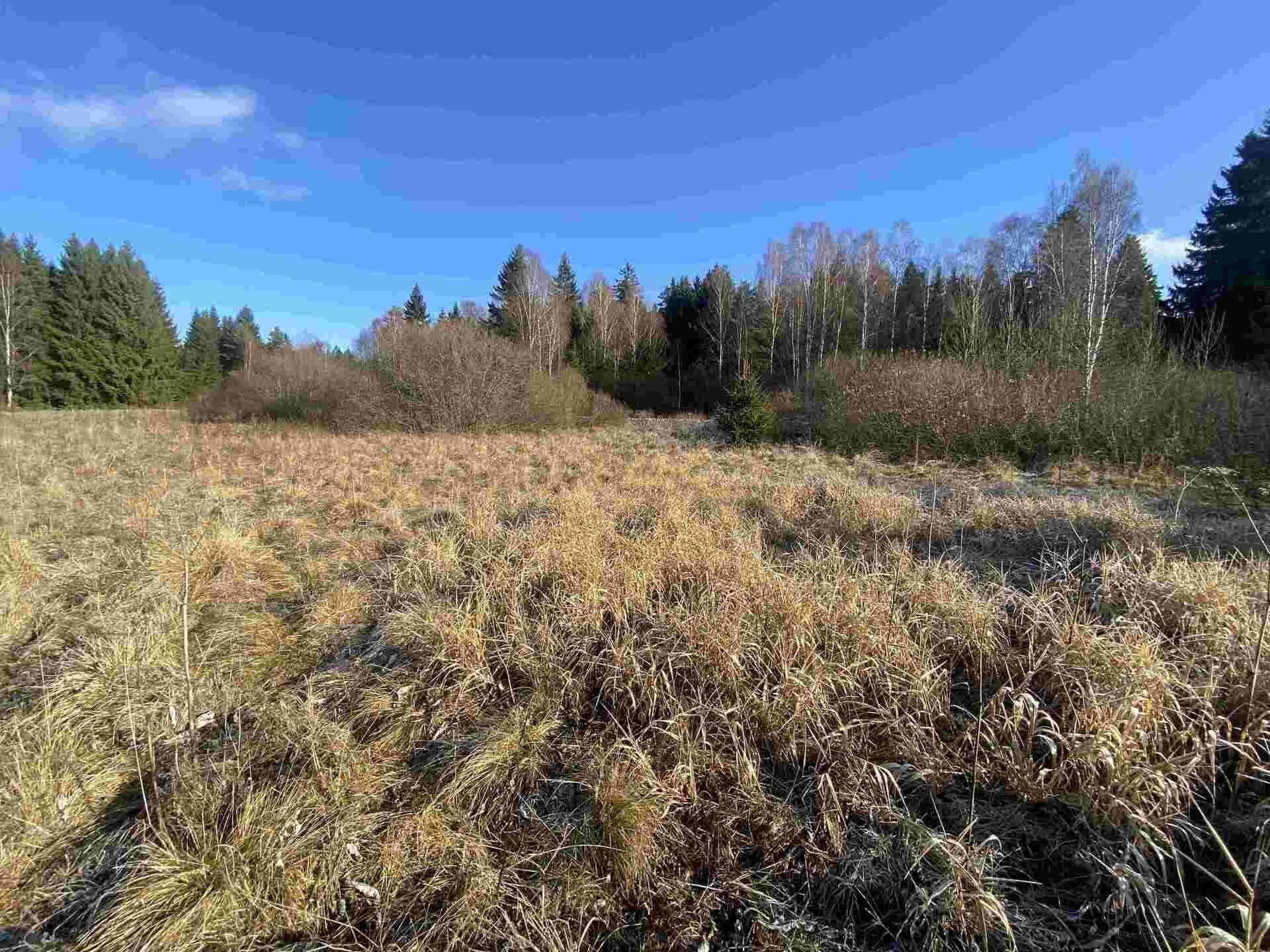 Prodej zemědělský pozemek - Černá v Pošumaví, 16 m²