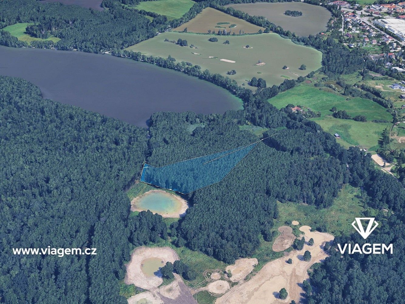 Prodej les - České Budějovice, Jihočeský kraj - 1