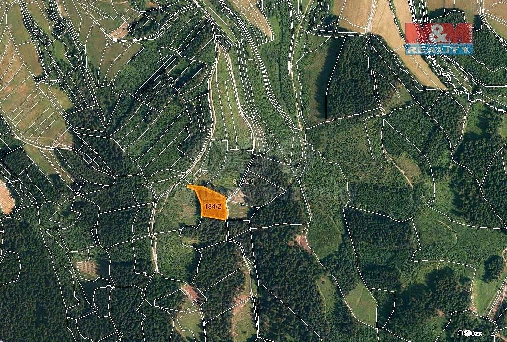Les · Lhota u Vsetína, okres Vsetín, Zlínský kraj - 3