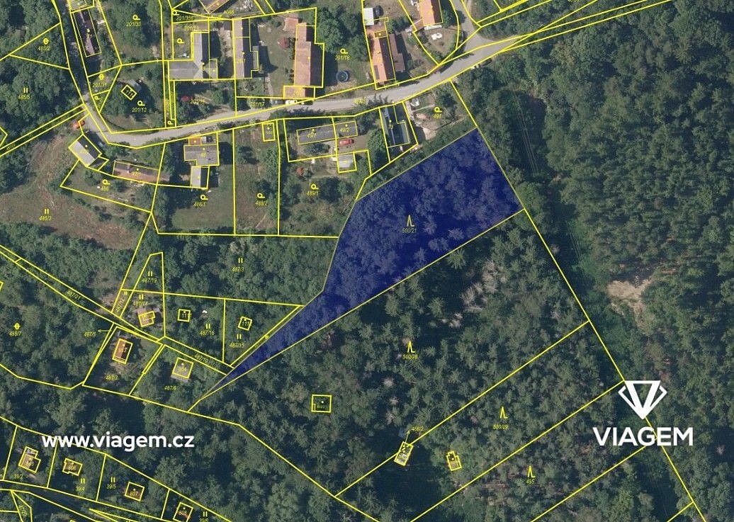 Les · Sýkořice, okres Rakovník, Středočeský kraj - 3