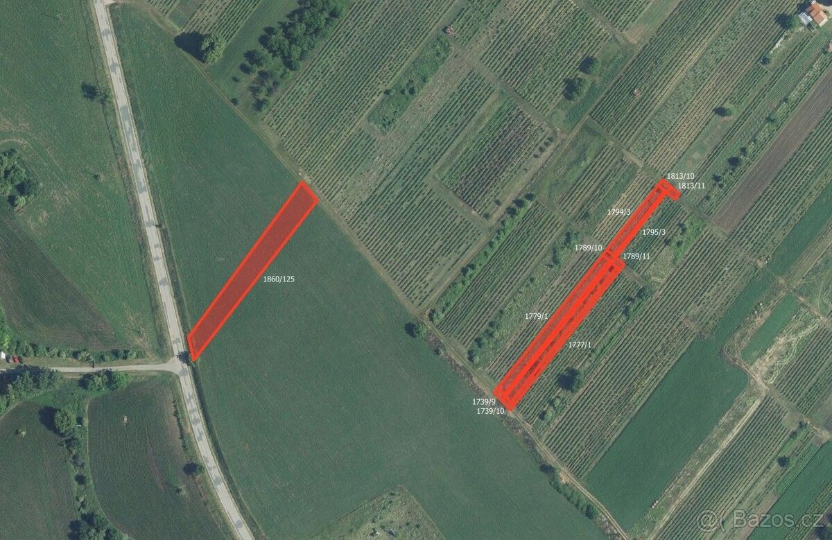 Prodej pozemek pro bydlení - Starý Poddvorov, 696 16