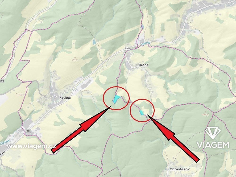 Les · Dešná, okres Zlín, Zlínský kraj - 4