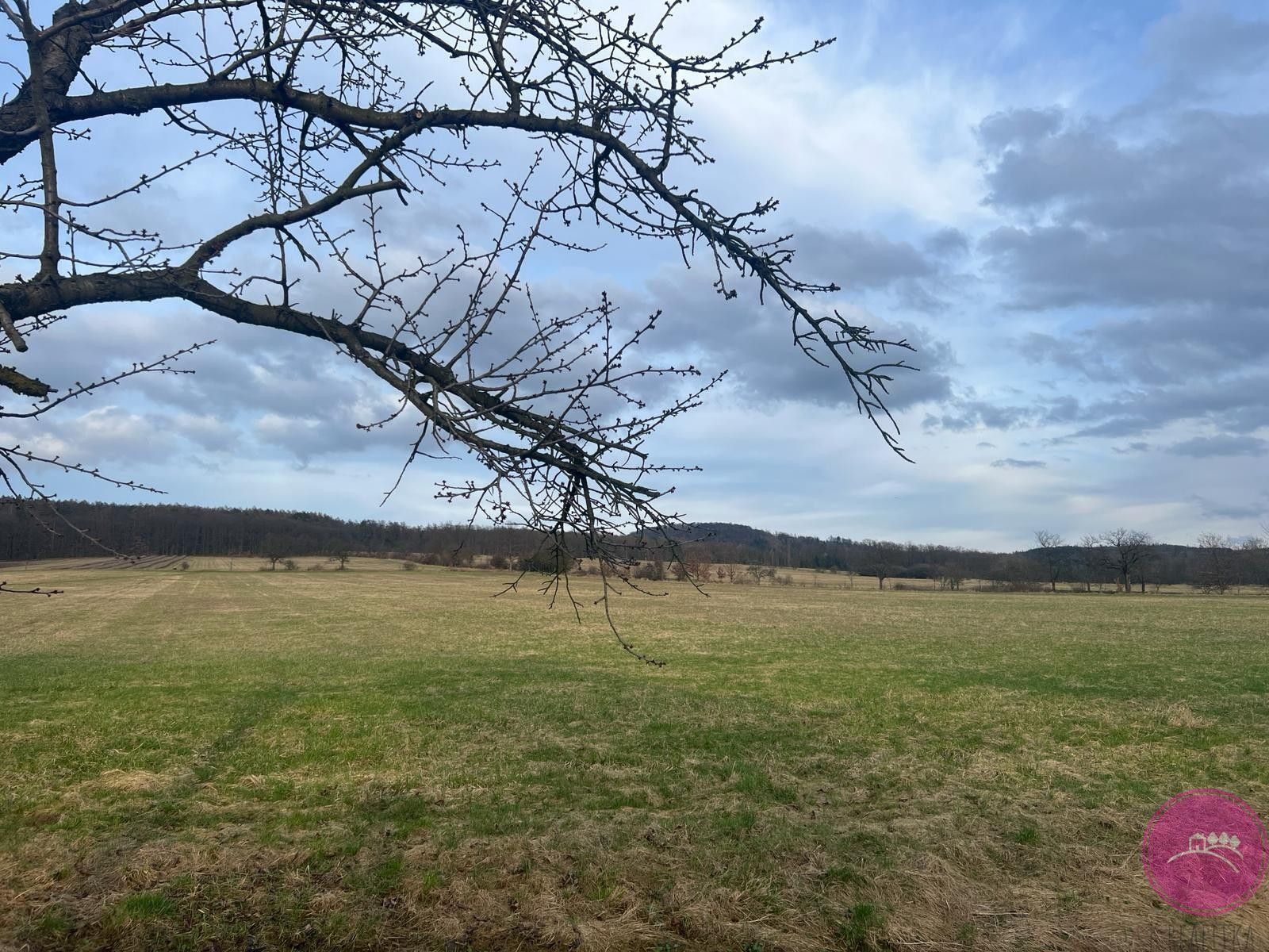 Prodej zemědělský pozemek - Bělkovice-Lašťany, 13 030 m²