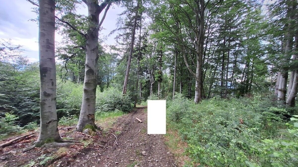 Pozemek pro bydlení · Bystřice nad Olší, 739 95 - 3