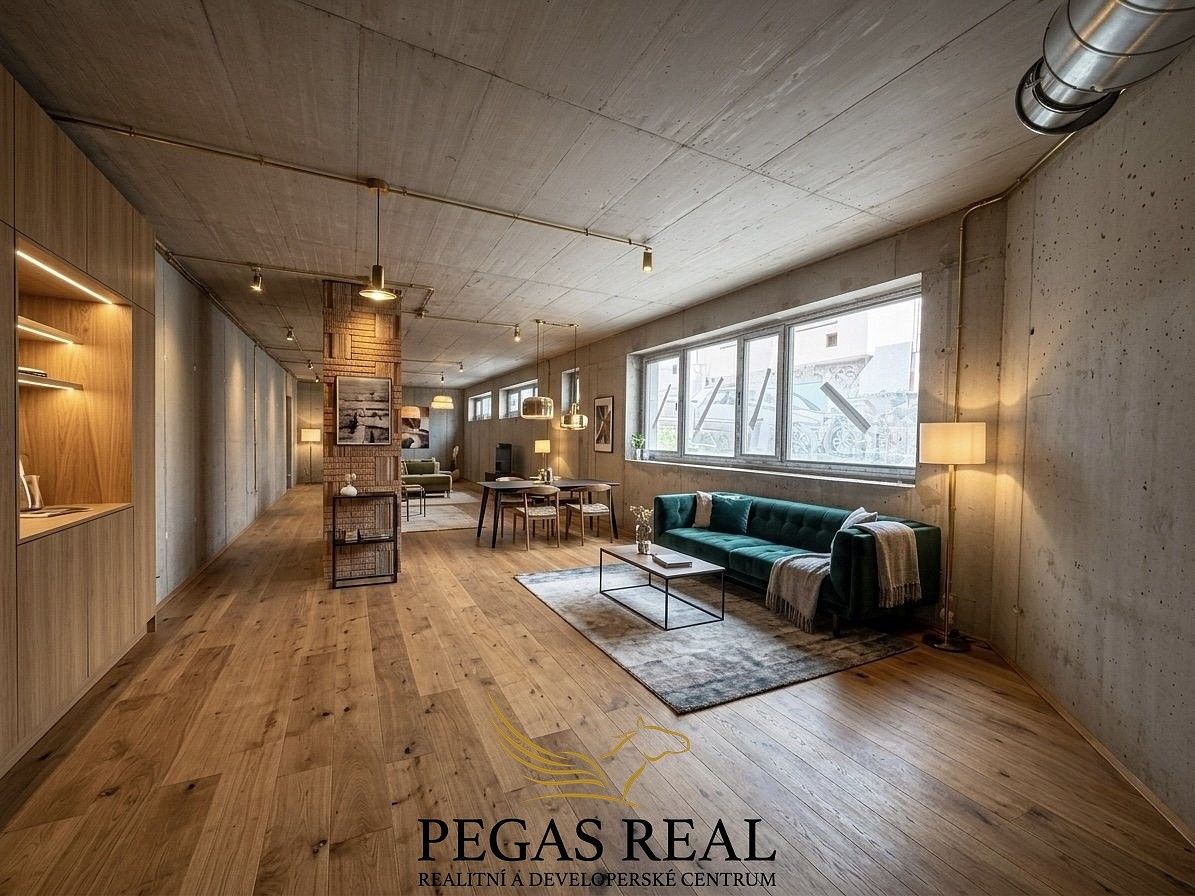 1+kk, Brno - Staré Brno, okres Brno-město, Jihomoravský kraj, 96 m² - 2