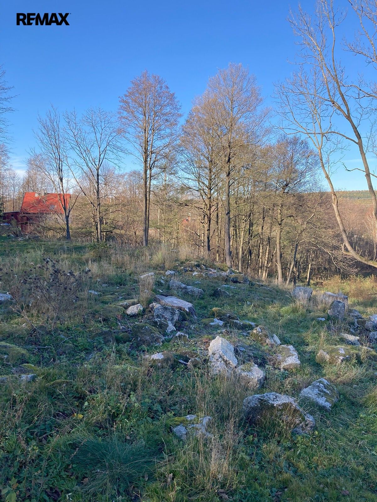 Prodej pozemek - Bílý Potok, 6 645 m² - 5