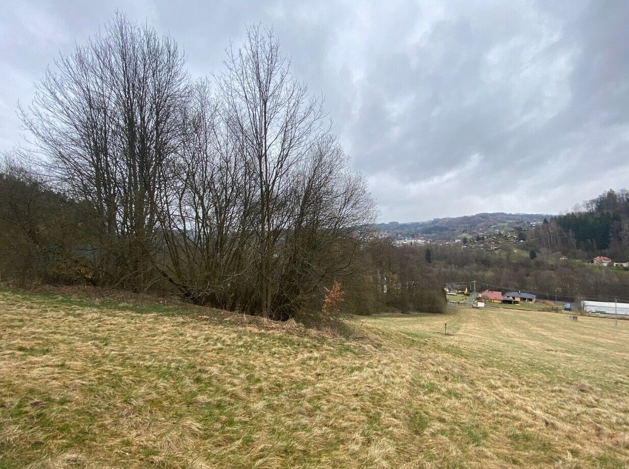 Zemědělský pozemek · 7 826 m² · Semily - 4