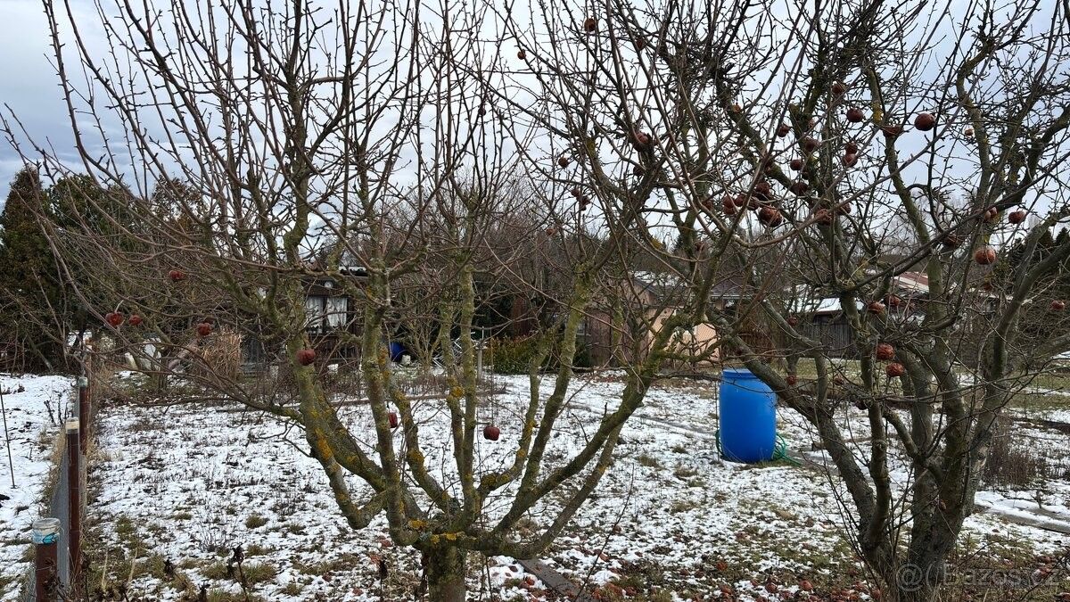 Prodej zahrada - Podbořany, 441 01