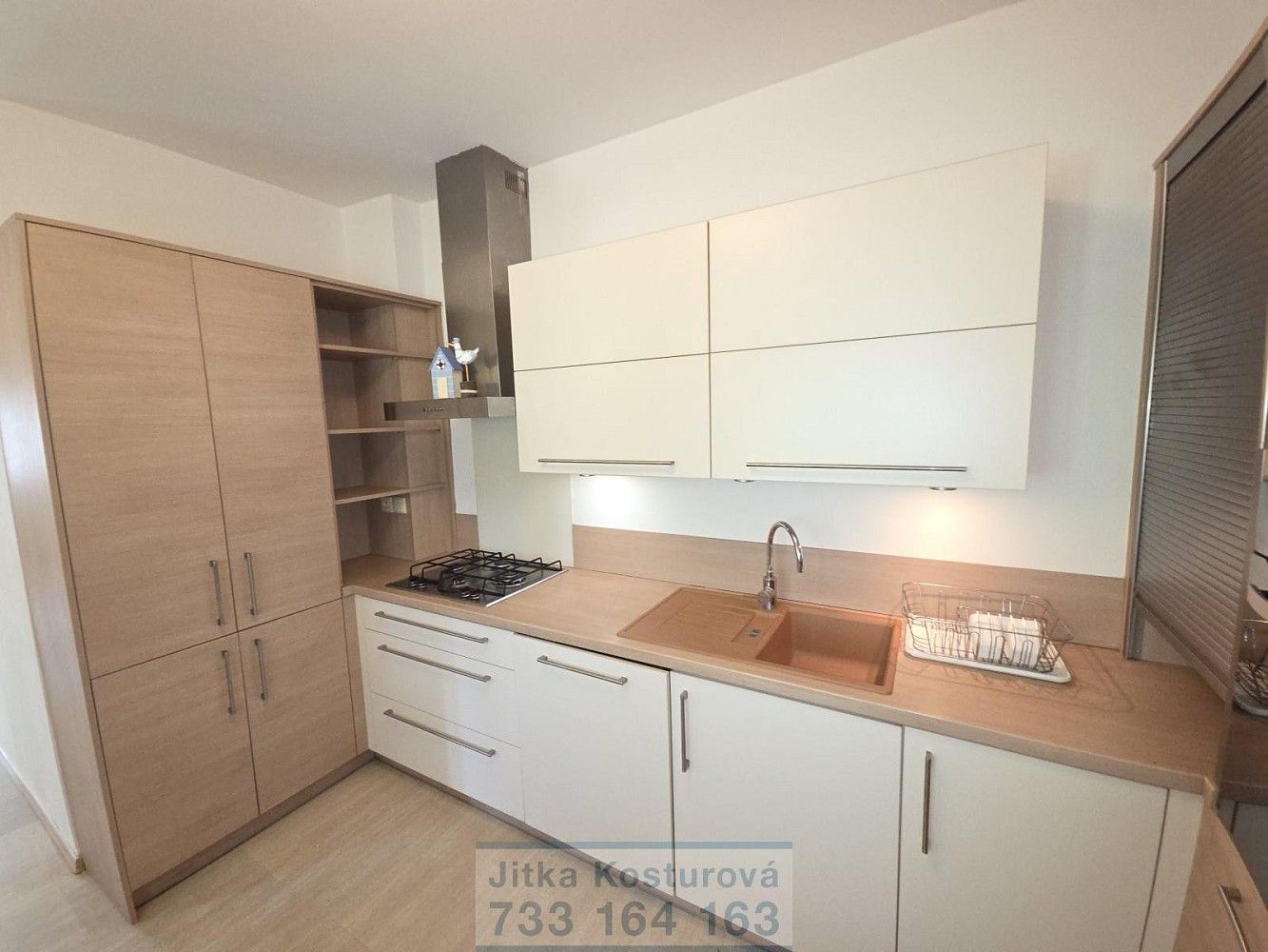 4+1, Opava - Předměstí, Moravskoslezský kraj, 197 m² - 1