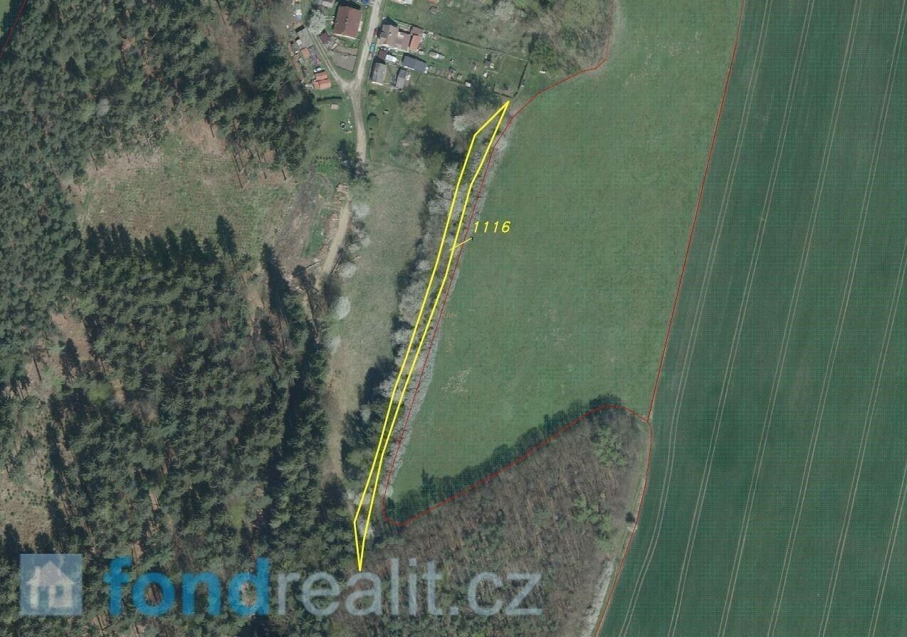 Zemědělské pozemky, Bělá nad Radbuzou, 1 208 m² - 2
