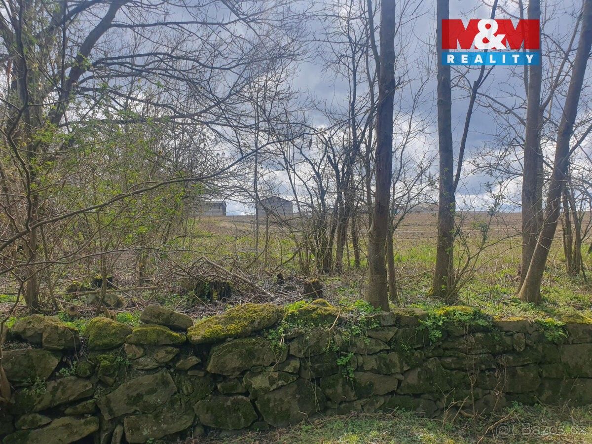 Prodej pozemek pro bydlení - Nepomuk, 335 01