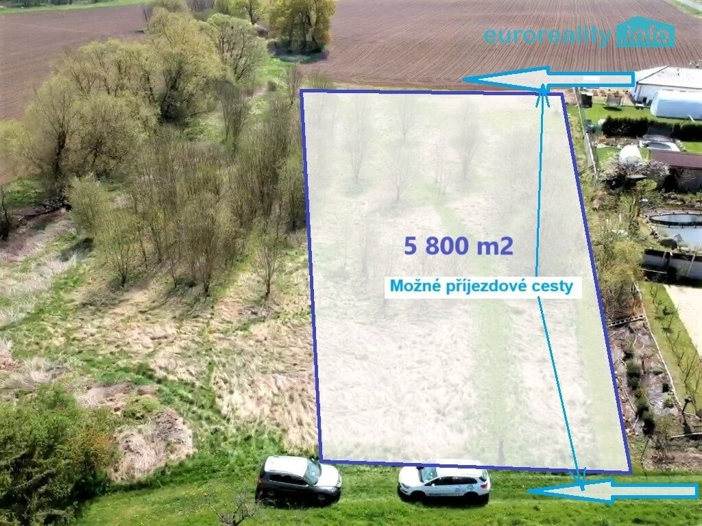 Pozemky pro bydlení, Planá, 5 800 m² - 1