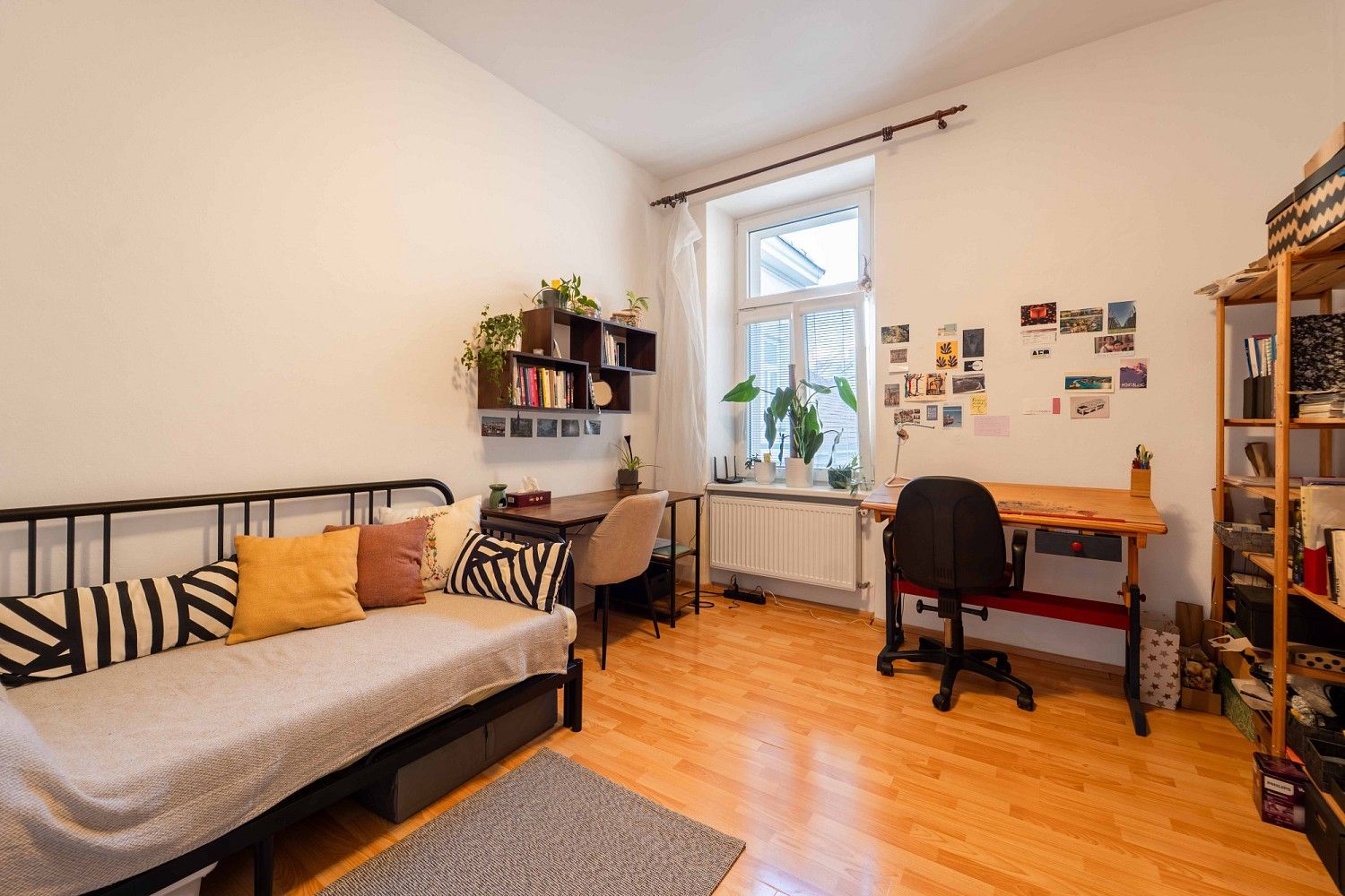 1+1, Palackého, Olomouc - Nová Ulice, 35 m² - 1