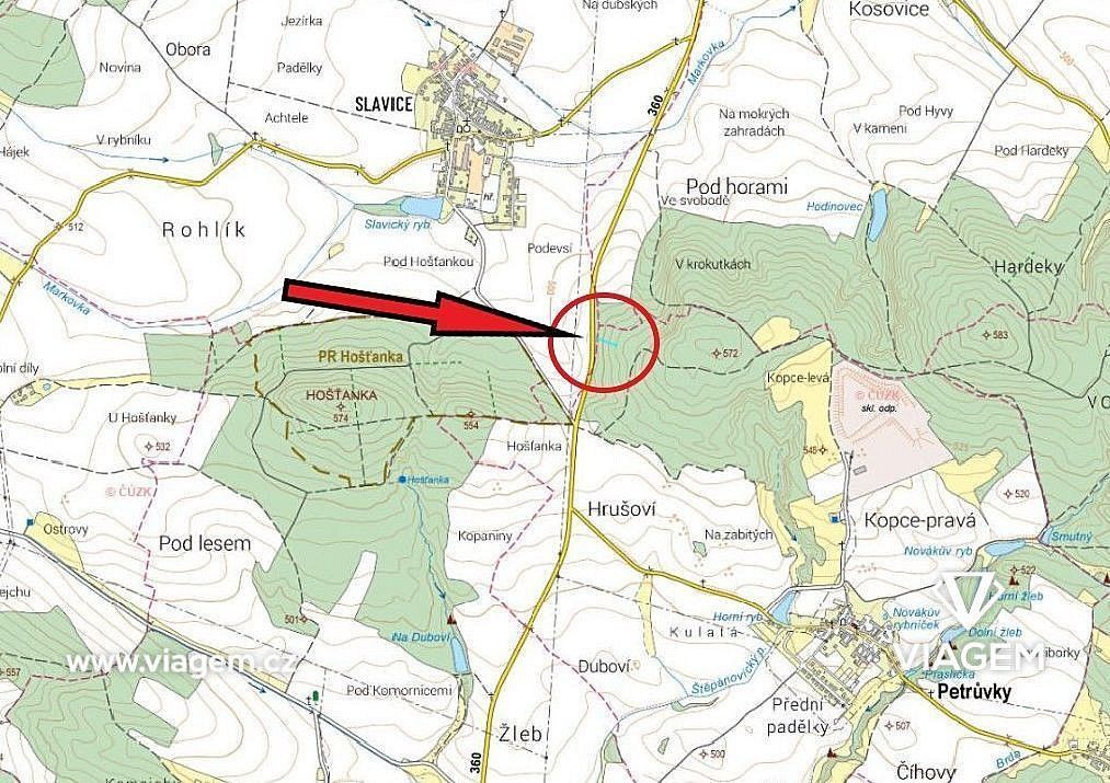 Les · Petrůvky, okres Třebíč, Kraj Vysočina - 4