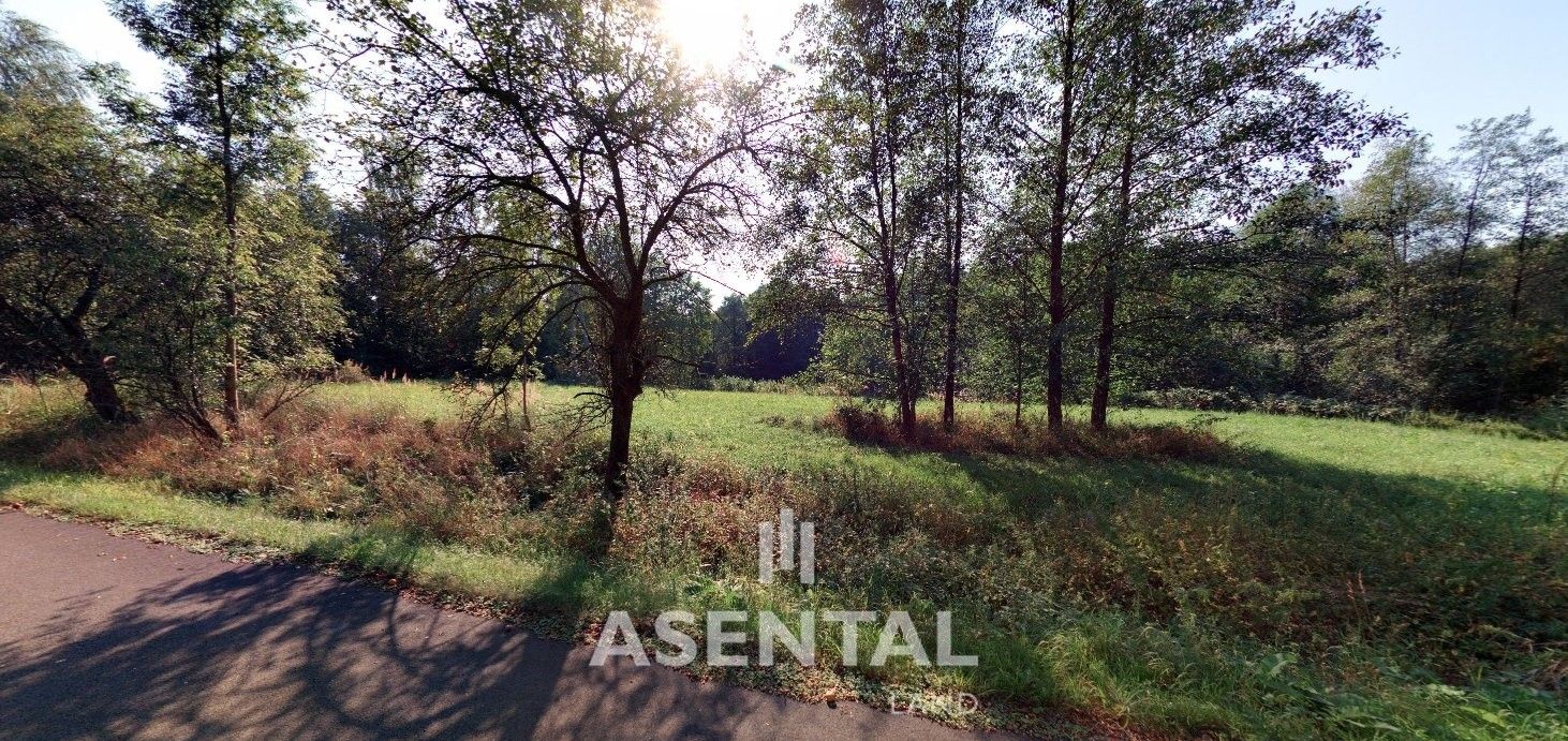 Ostatní, Stonava